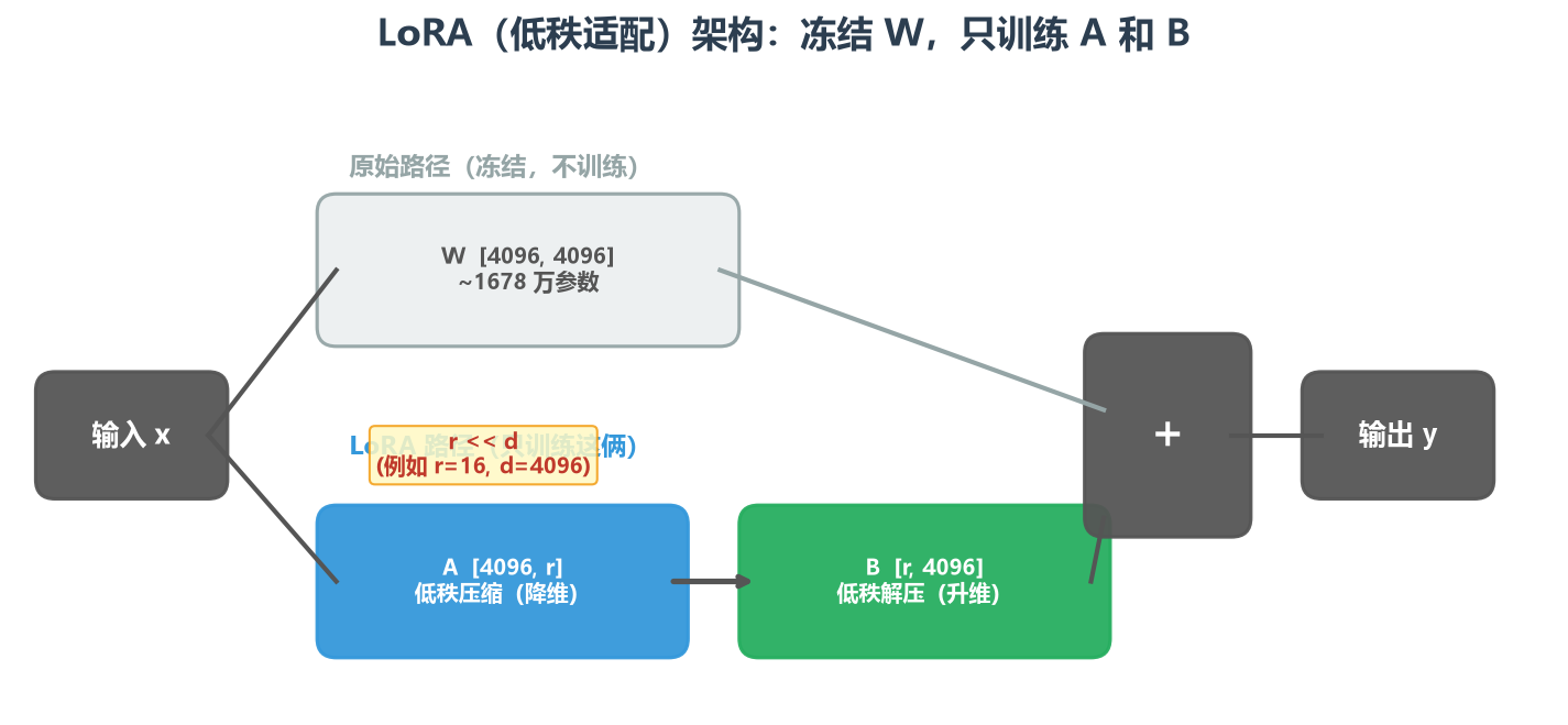 LoRA 架构图